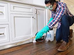 Best Real Estate Pest Inspections  in Chelsea Cove, NY